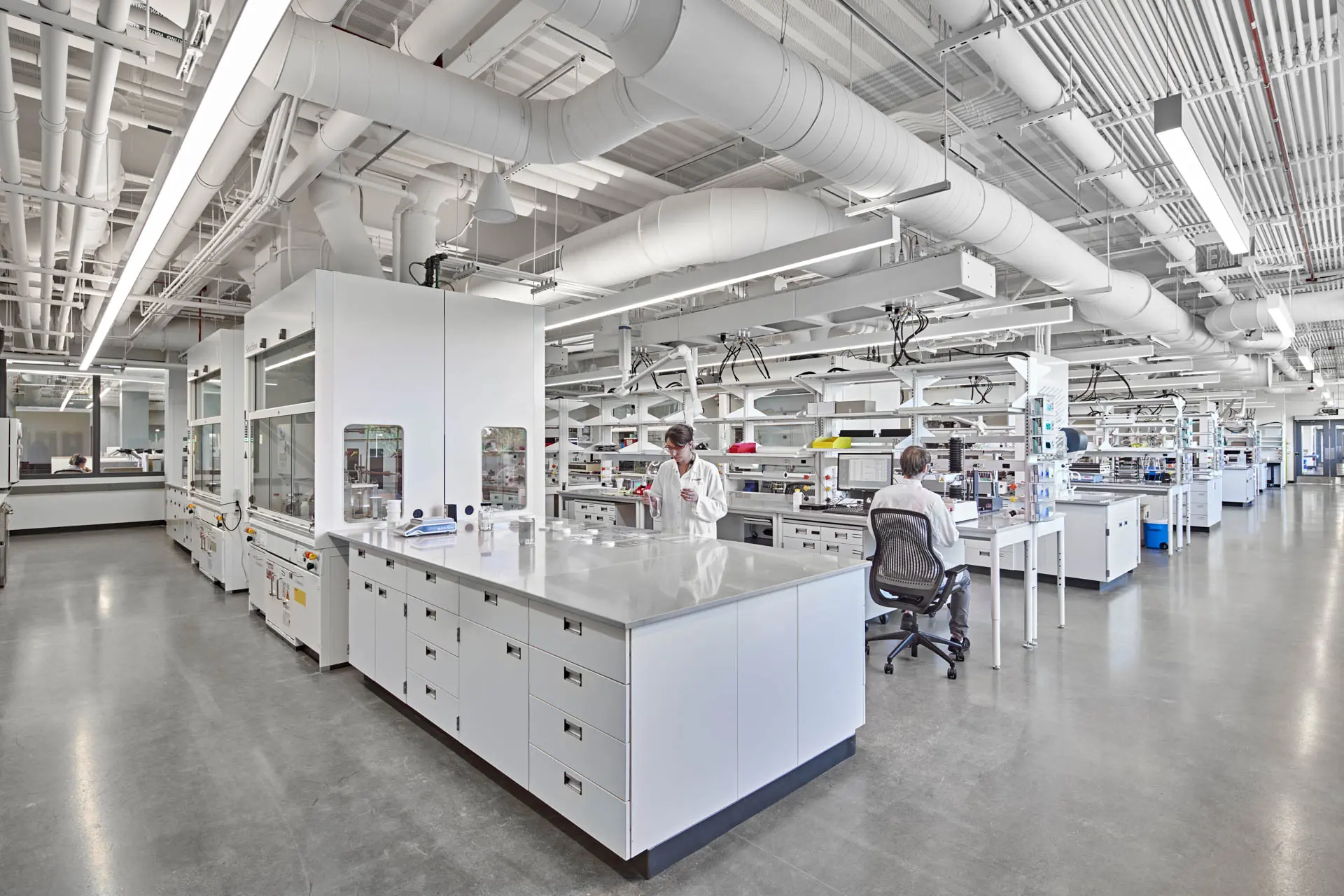 Modern research laboratory with scientists working among lab benches and specialized equipment.